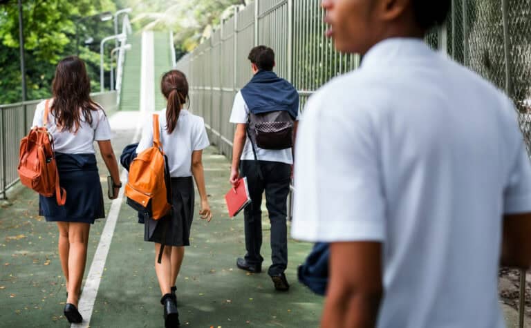 Featured image for New Zealand Study Highlights the Power of Multiple Pathways to Skills and Employment